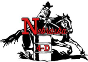 NE4D logo